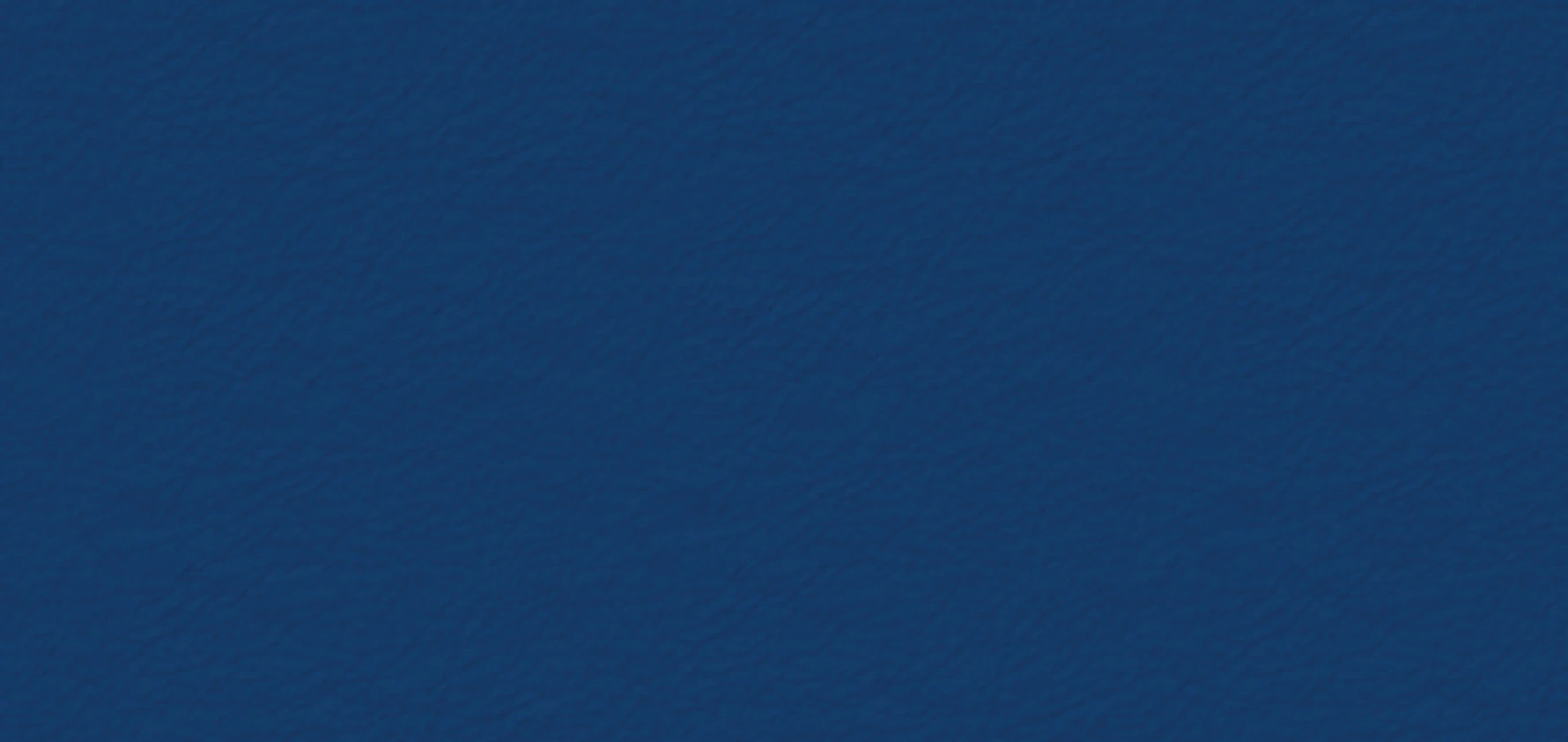 Aegean